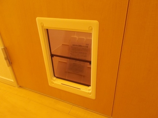 13/20 その他画像
