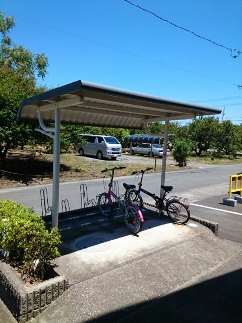 11/20 その他画像