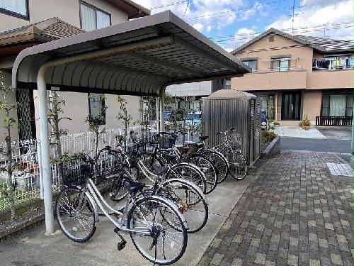 11/14 その他画像