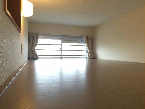 12/14 その他画像