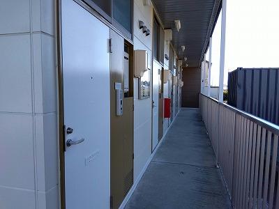 11/22 その他画像