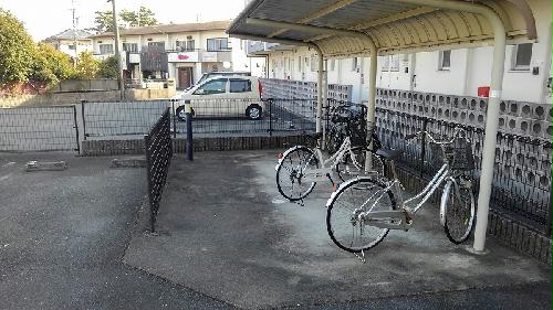 11/13 その他画像