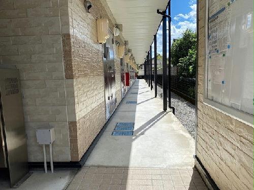 12/19 その他画像