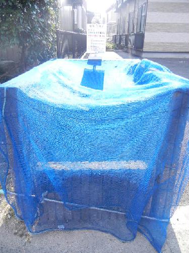 11/14 その他画像