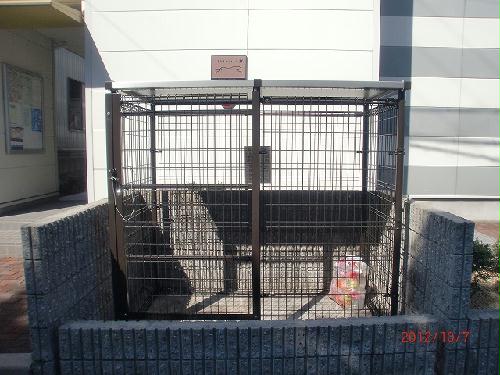 11/17 その他画像