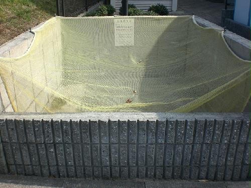 4/14 リビング/ダイニング