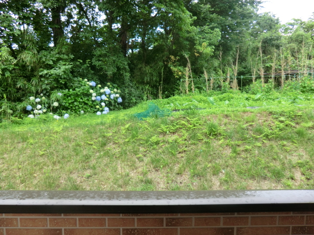 20/29 その他画像