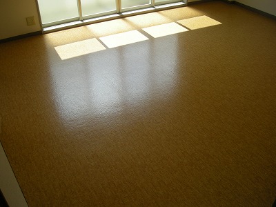 19/29 その他画像