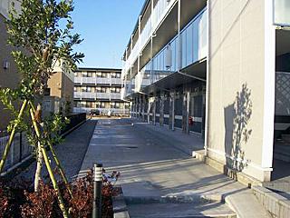 6/16 その他画像