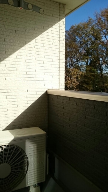 11/20 バルコニー