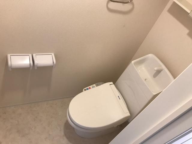 11/28 トイレ