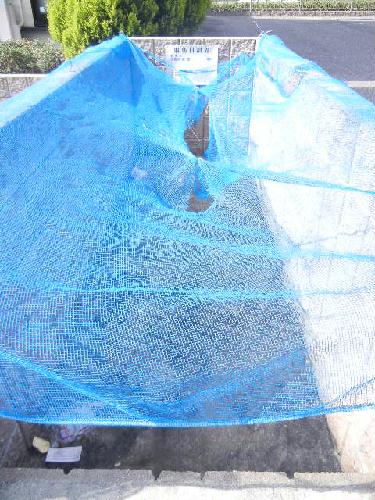 12/24 その他画像