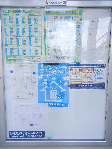 11/24 バルコニー