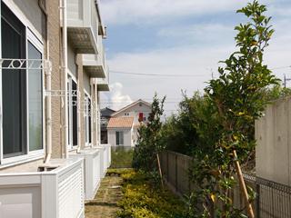 9/19 その他画像