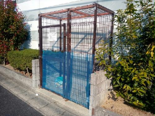 11/17 その他画像