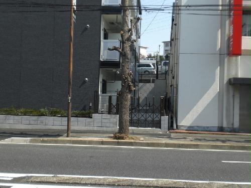 8/10 その他画像