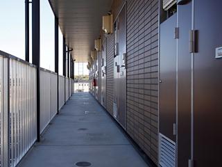 11/16 その他画像