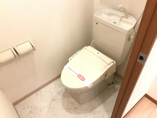 21/29 その他画像