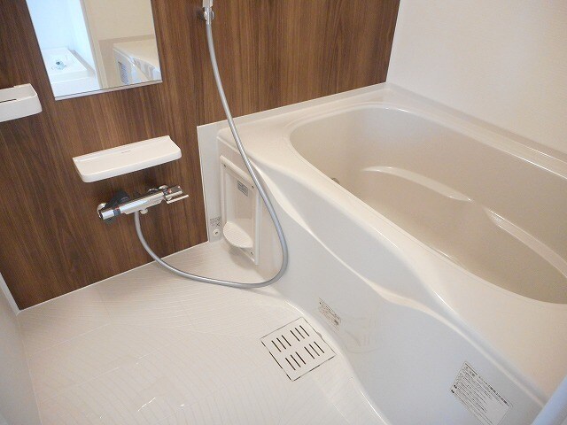 8/20 その他画像