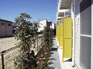 8/20 バルコニー