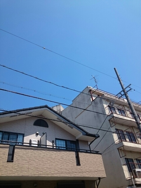 18/27 その他画像