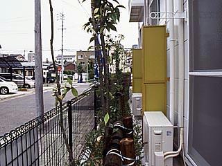 12/12 その他画像