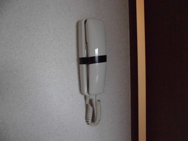 17/29 その他画像