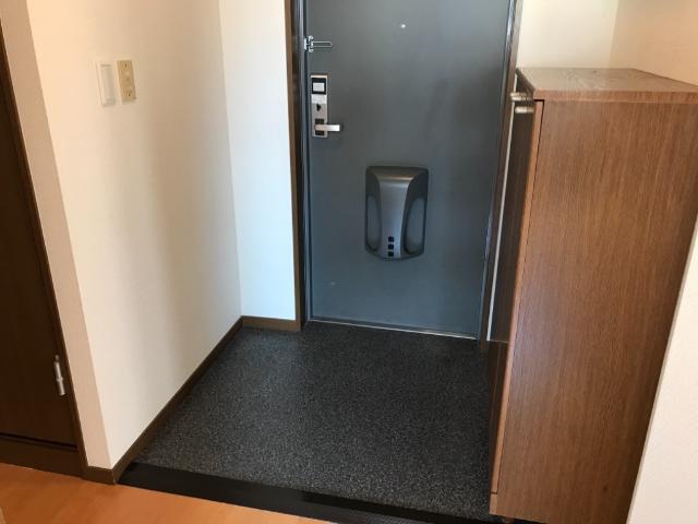 11/29 玄関