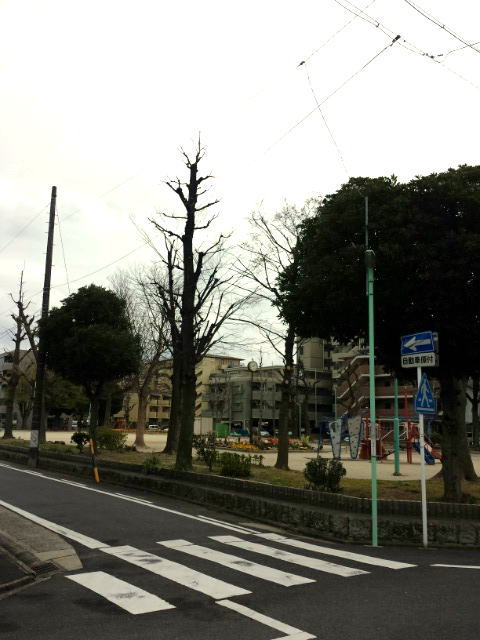 17/28 その他画像