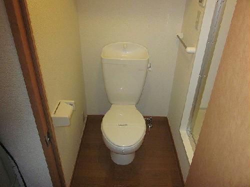 5/12 トイレ