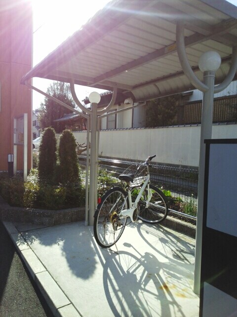 6/21 その他画像