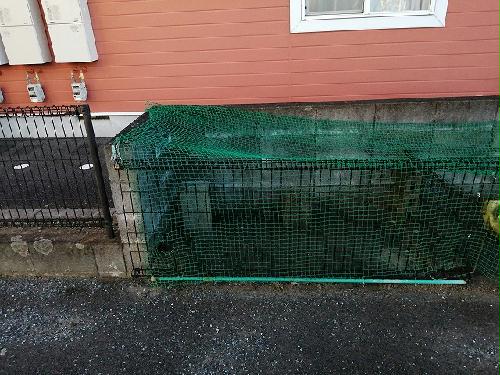 12/21 その他画像