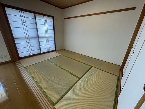 8/15 その他画像