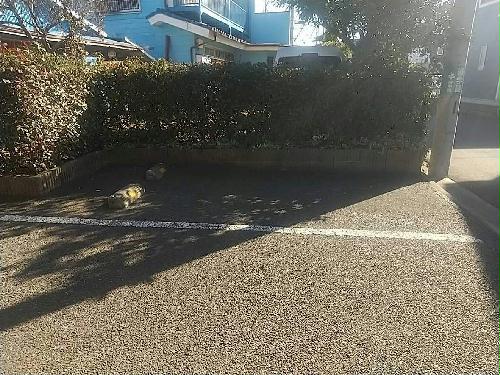 14/24 駐車場