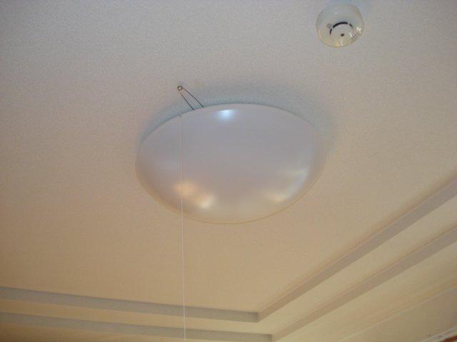 21/29 その他画像