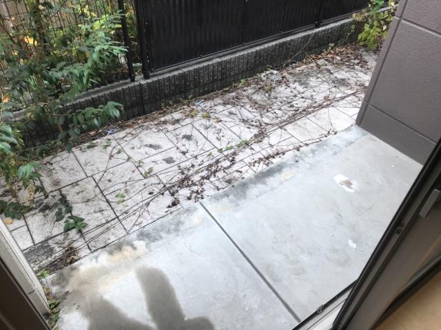 19/26 その他画像