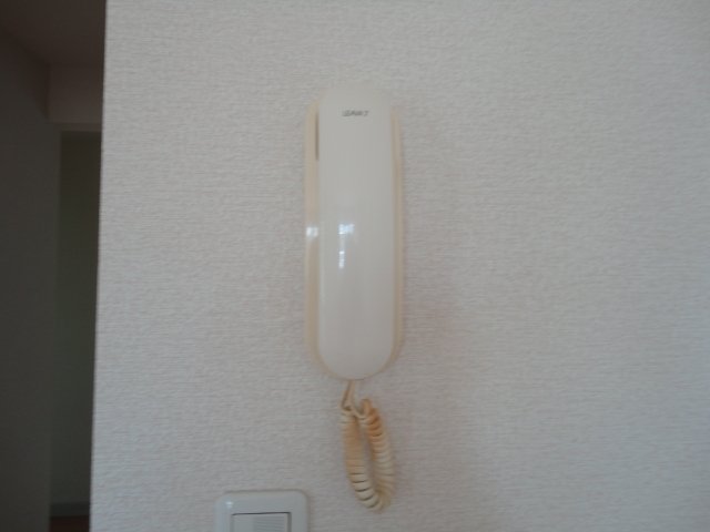 17/25 その他画像