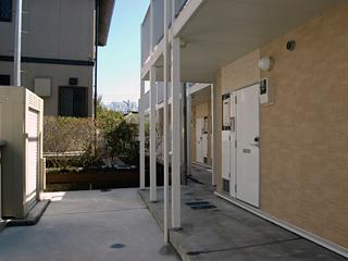 11/11 その他画像