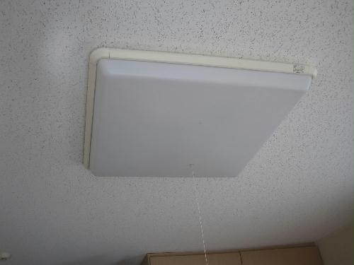 11/15 その他画像