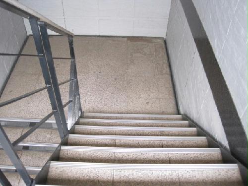 11/14 その他画像