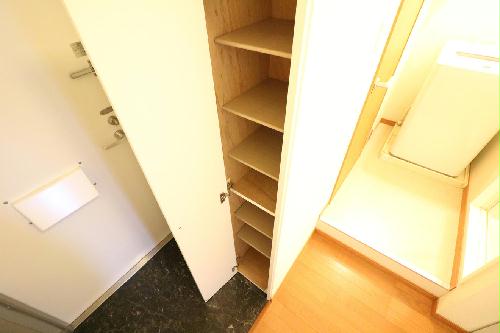 11/14 その他画像