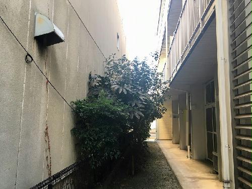 13/19 その他画像