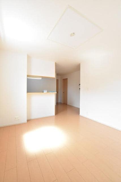 11/19 その他画像