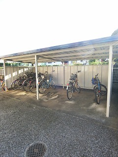 17/29 その他画像