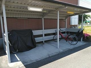 12/20 その他画像