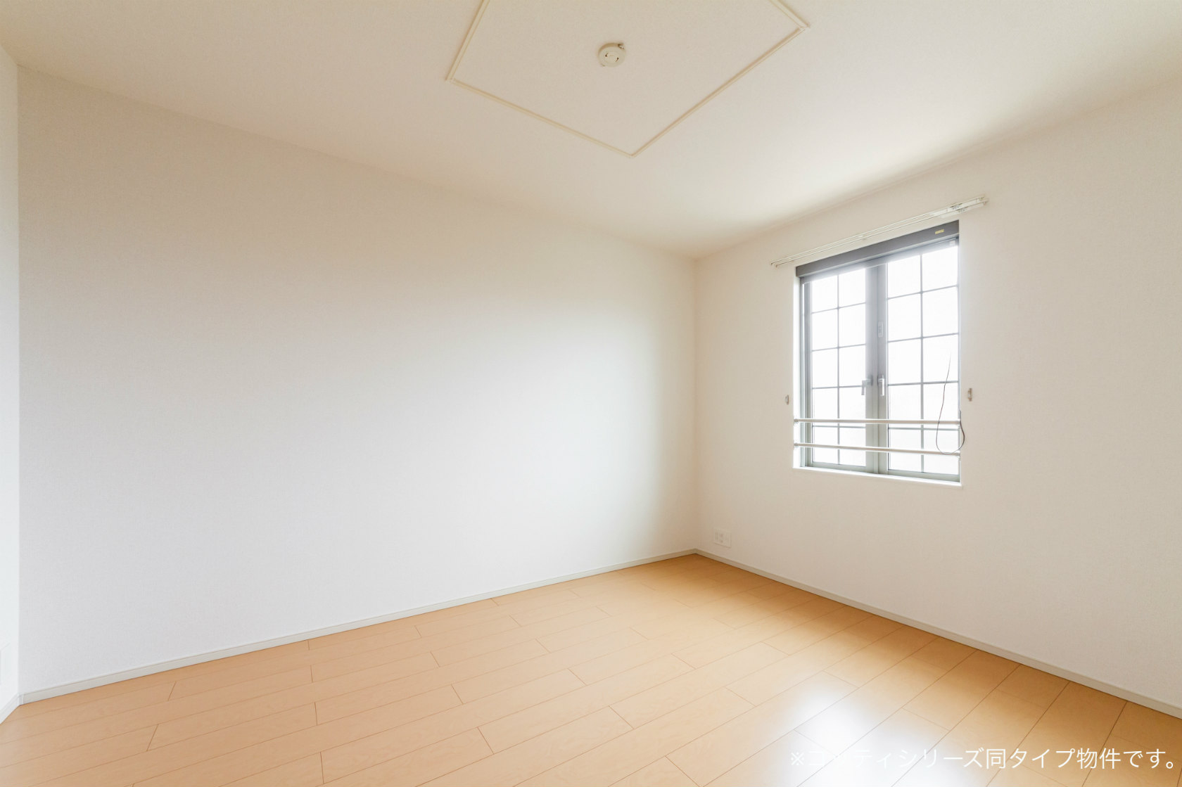 11/24 その他画像