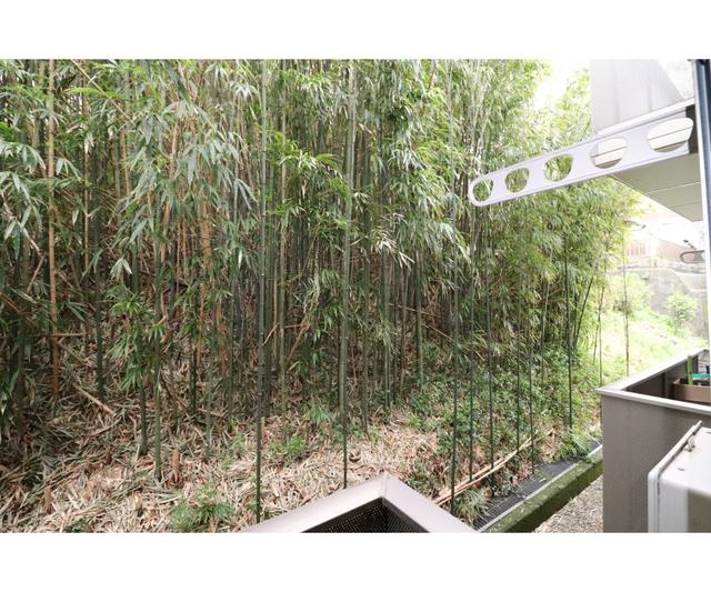 28/30 その他画像