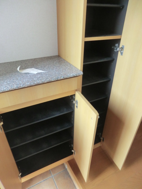 20/30 その他画像