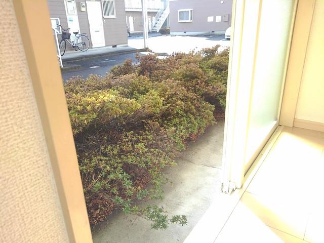 11/20 バルコニー