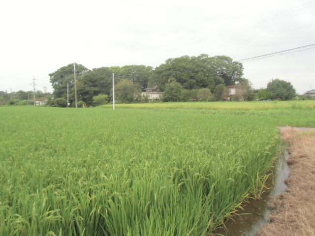 14/28 その他画像